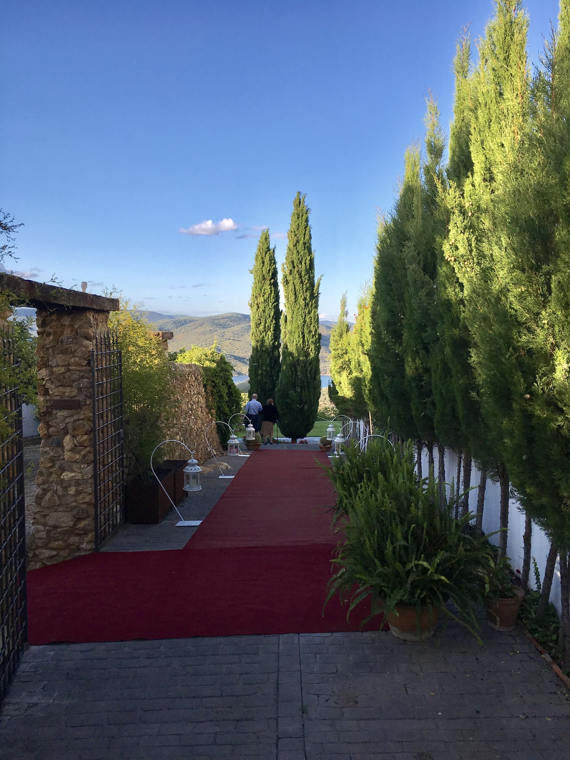 Alfombra roja